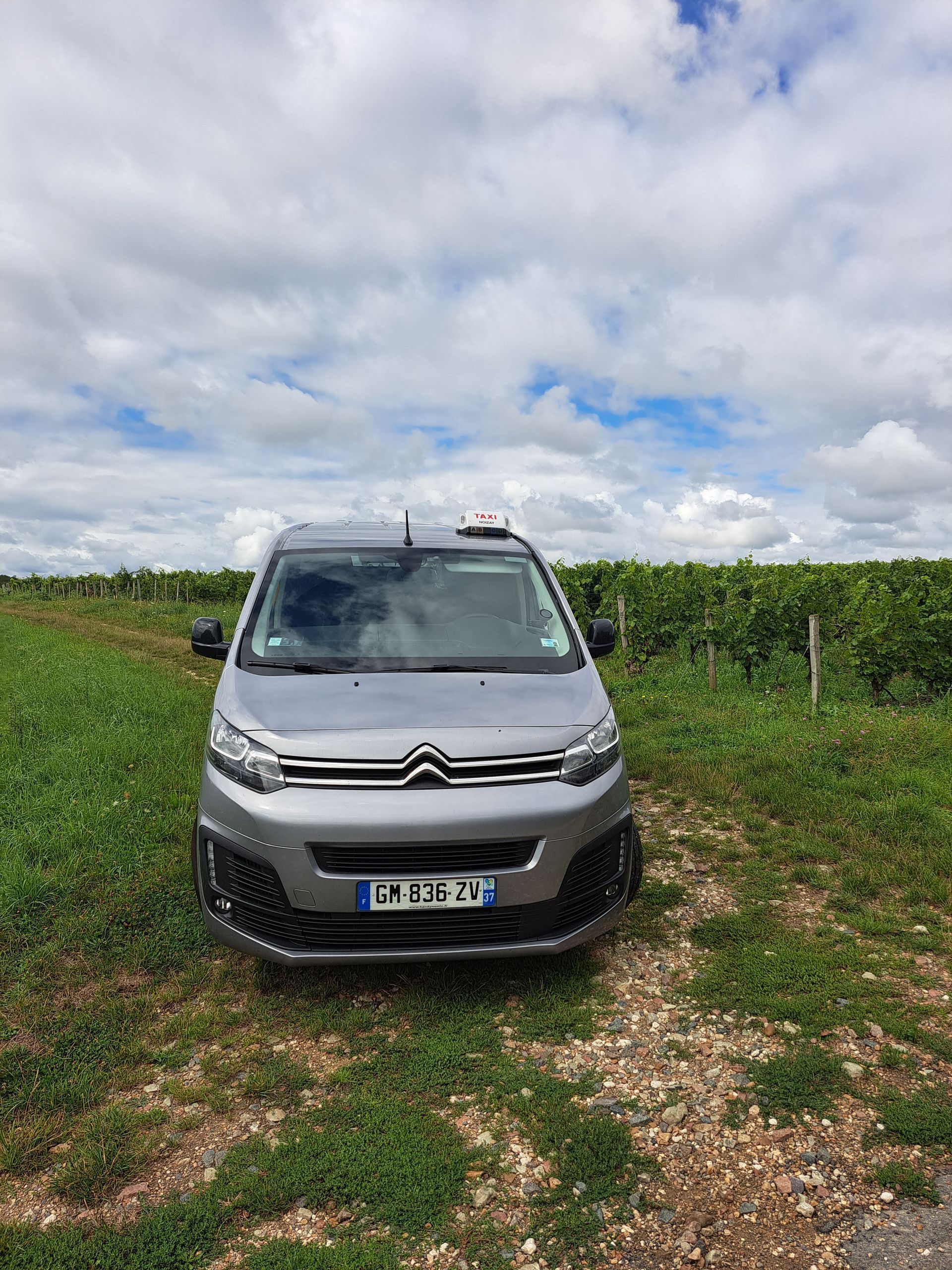 Une voiture grise garée sur un chemin de terre à côté d'un vignoble, sous un ciel nuageux.