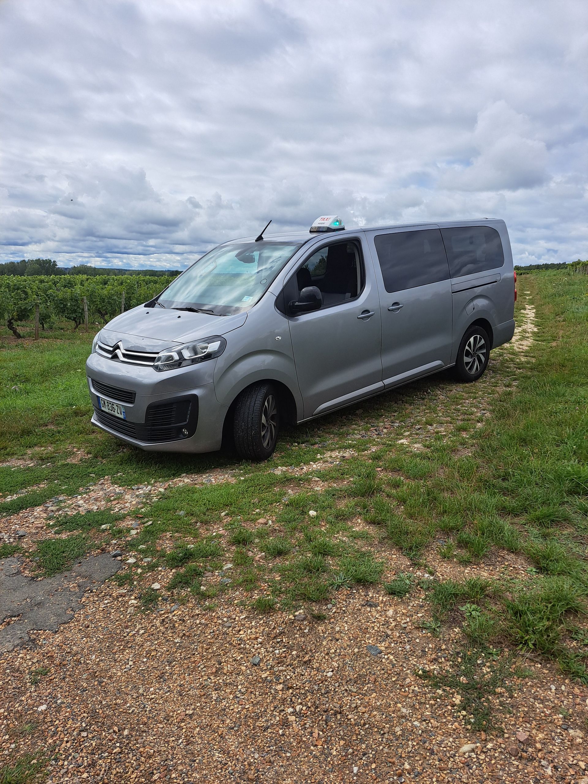 Un minibus gris stationné sur un chemin herbeux à côté d'un vignoble sous un ciel nuageux.