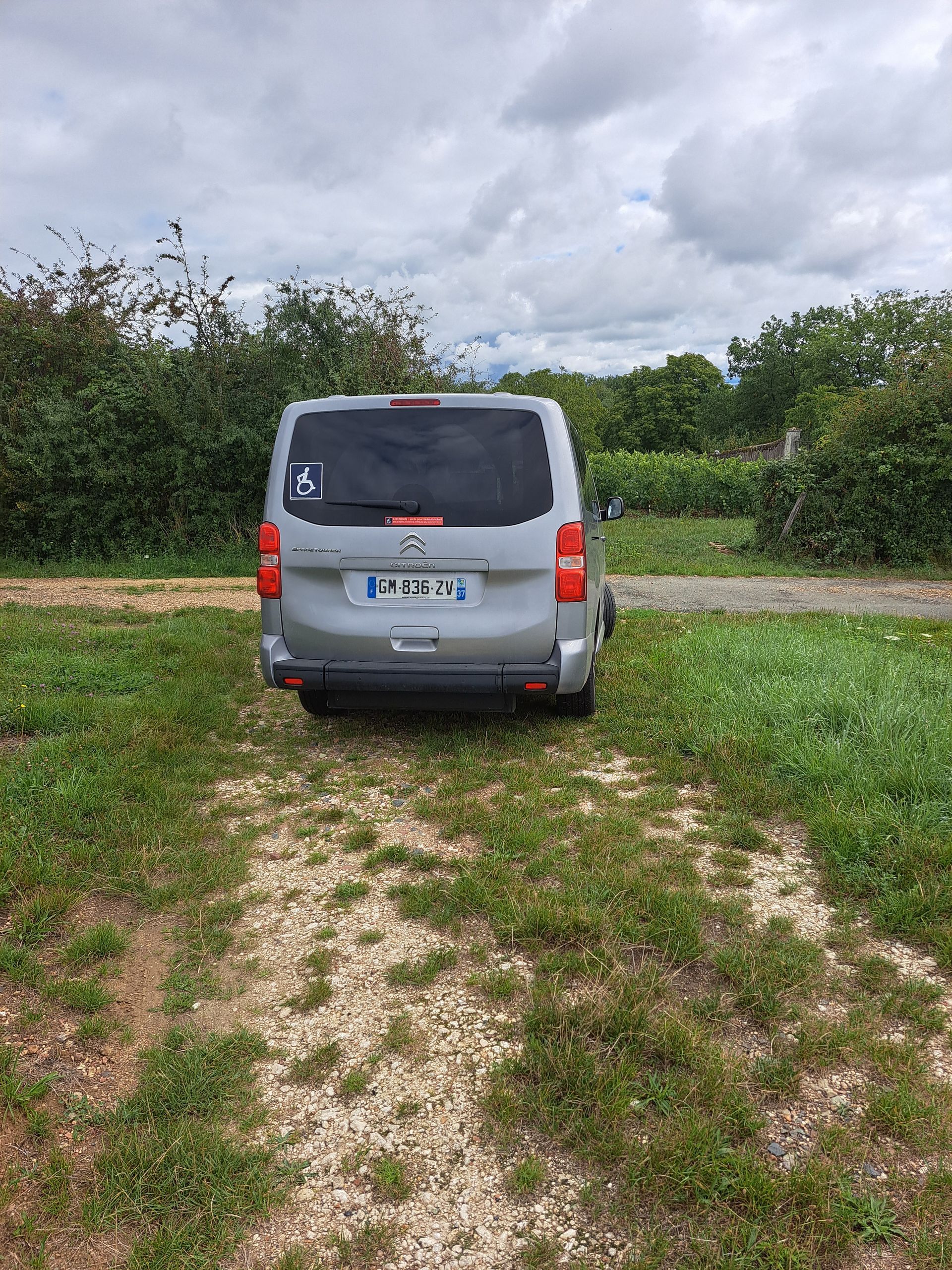 Une camionnette argentée garée sur une pelouse, sous un ciel gris.