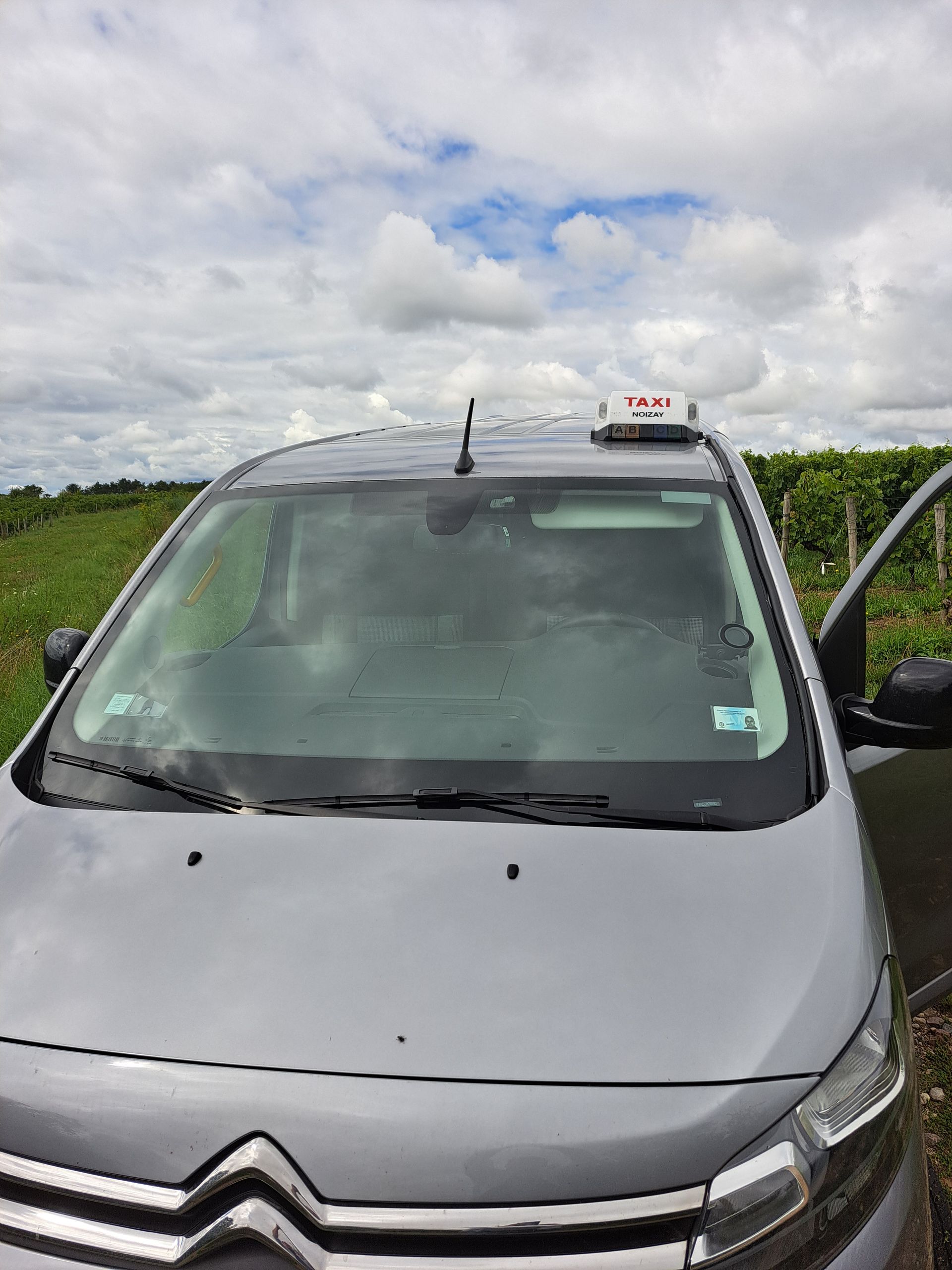Un taxi argenté avec un panneau publicitaire sur le toit est stationné à l'extérieur, devant un vignoble, sous un ciel nuageux.