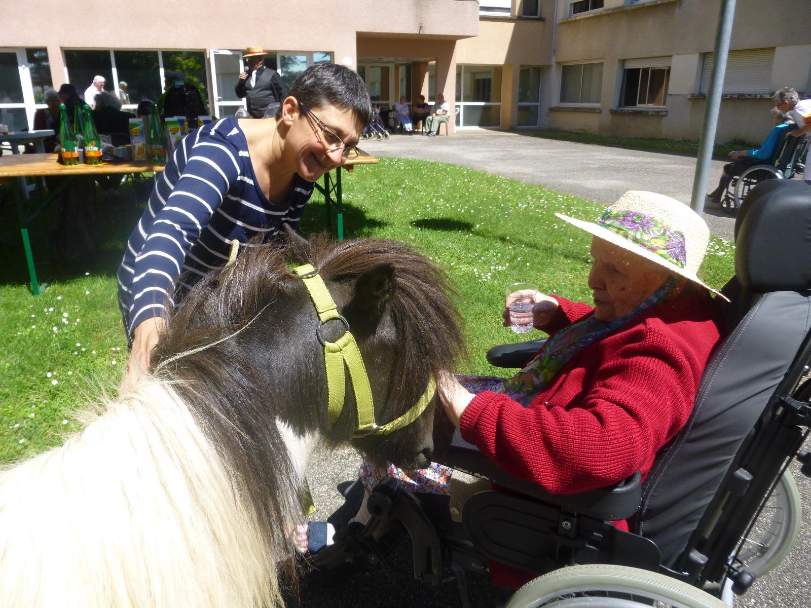 Rencontre avec des animaux