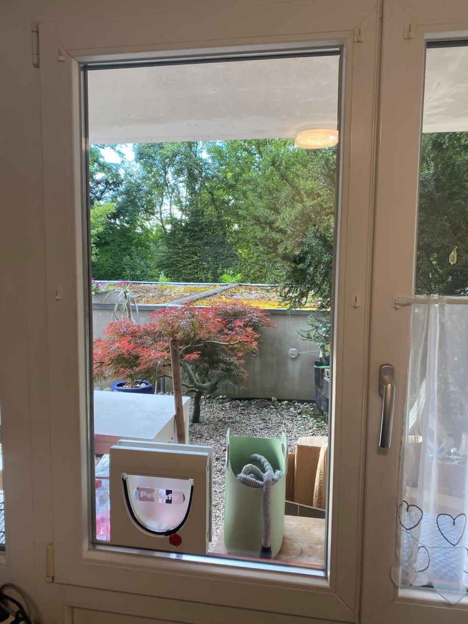 Il y a une chatière dans la fenêtre d'une maison.