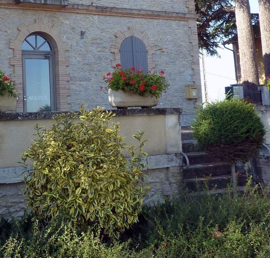 Bâtiment en pierre avec fenêtre cintrée et volet, géraniums rouges en jardinière, arbustes et marches à l'extérieur.
