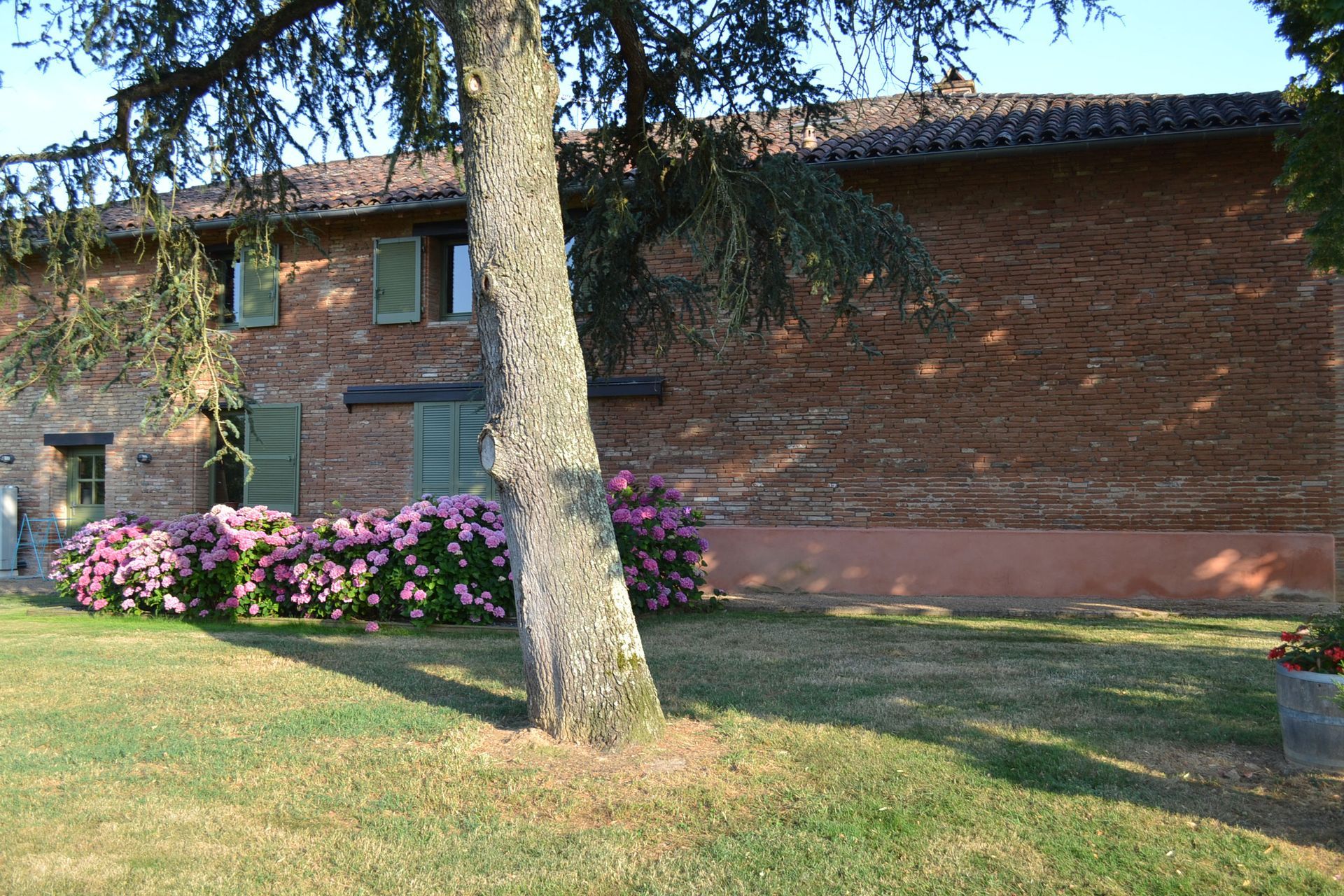 Bâtiment en briques aux volets verts, orné d'hortensias roses, et un arbre sur une pelouse ensoleillée.