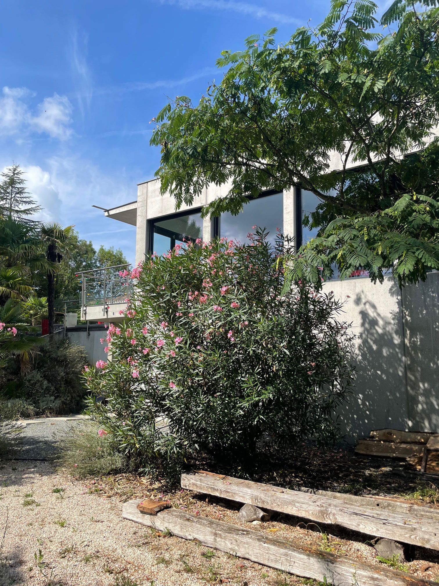 Façade d'un bâtiment moderne avec de grandes fenêtres, des arbres verdoyants et un arbuste fleuri par une journée ensoleillée.