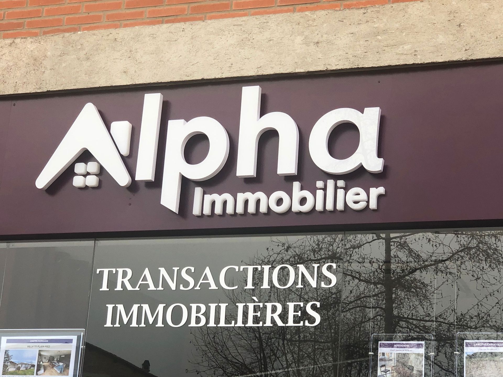 Enseigne d'Alpha Immobilier, agence immobilière. Lettres blanches sur fond violet ; mention  Transactions Immobilières en dessous.