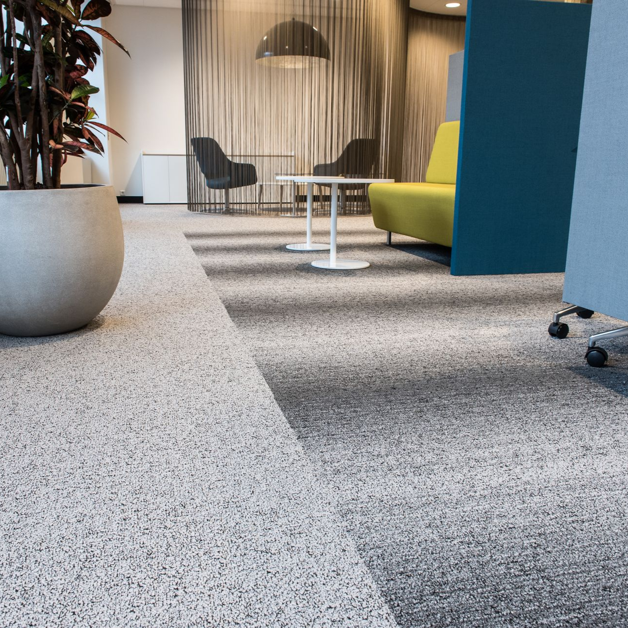 Intérieur de bureau avec tapis à motifs, sièges et plante en pot.