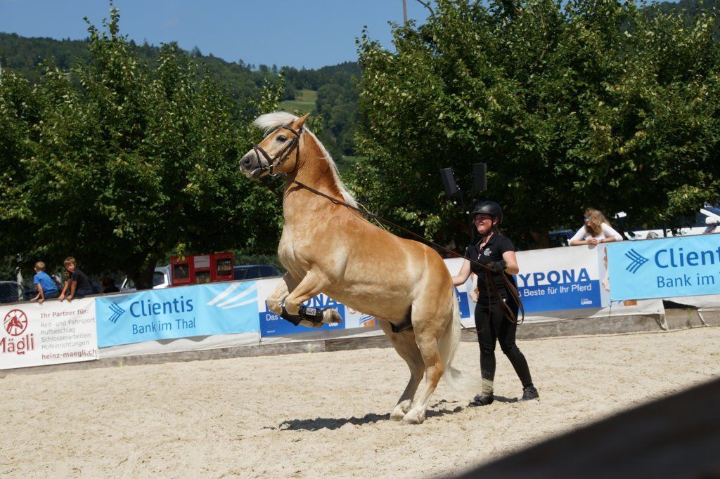 D�sir�e Wamister