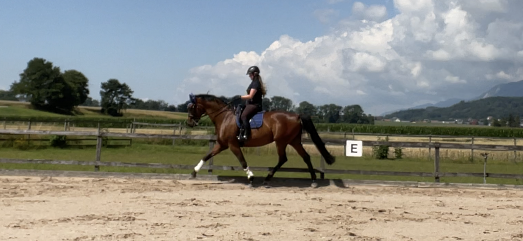 D�sir�e Wamister