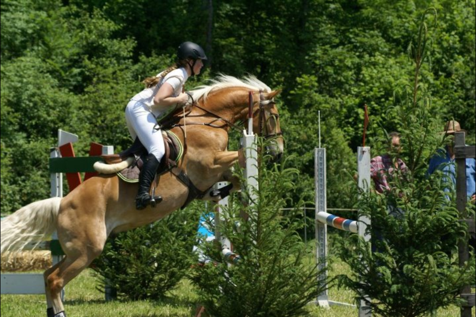 D�sir�e Wamister