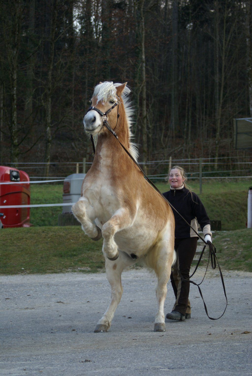 D�sir�e Wamister