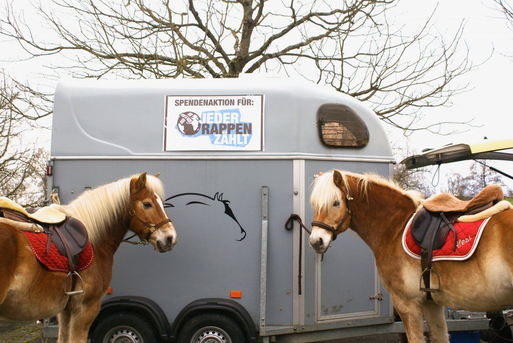 D�sir�e Wamister