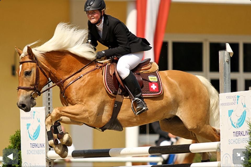 D�sir�e Wamister