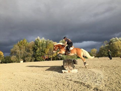 D�sir�e Wamister