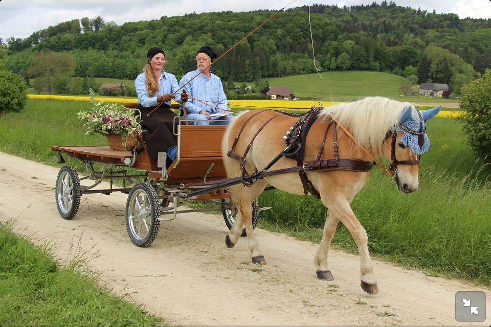 D�sir�e Wamister