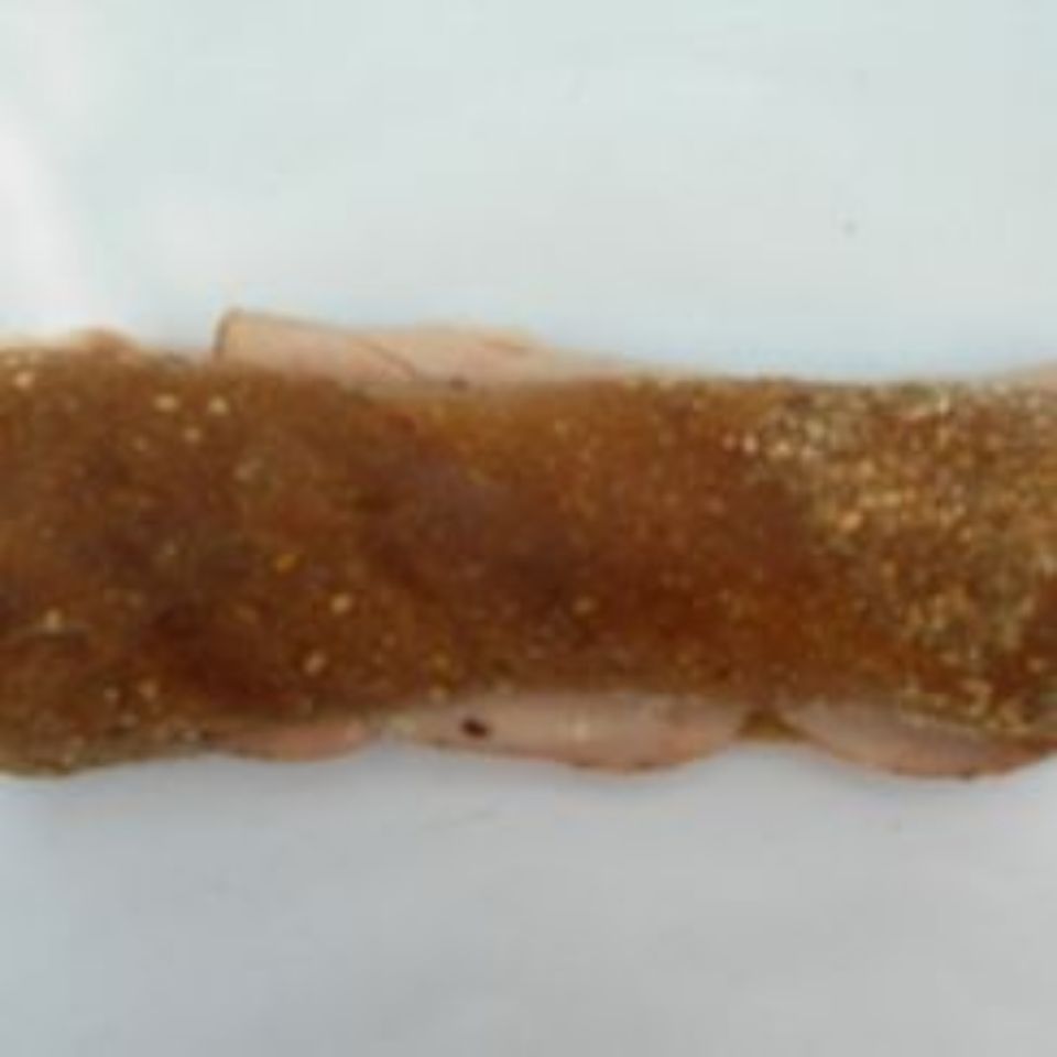 Einführung in unsere Backwaren