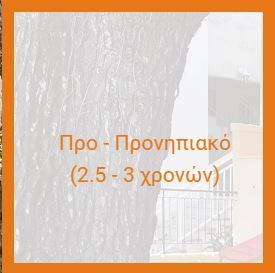 προ-προνηπιακο