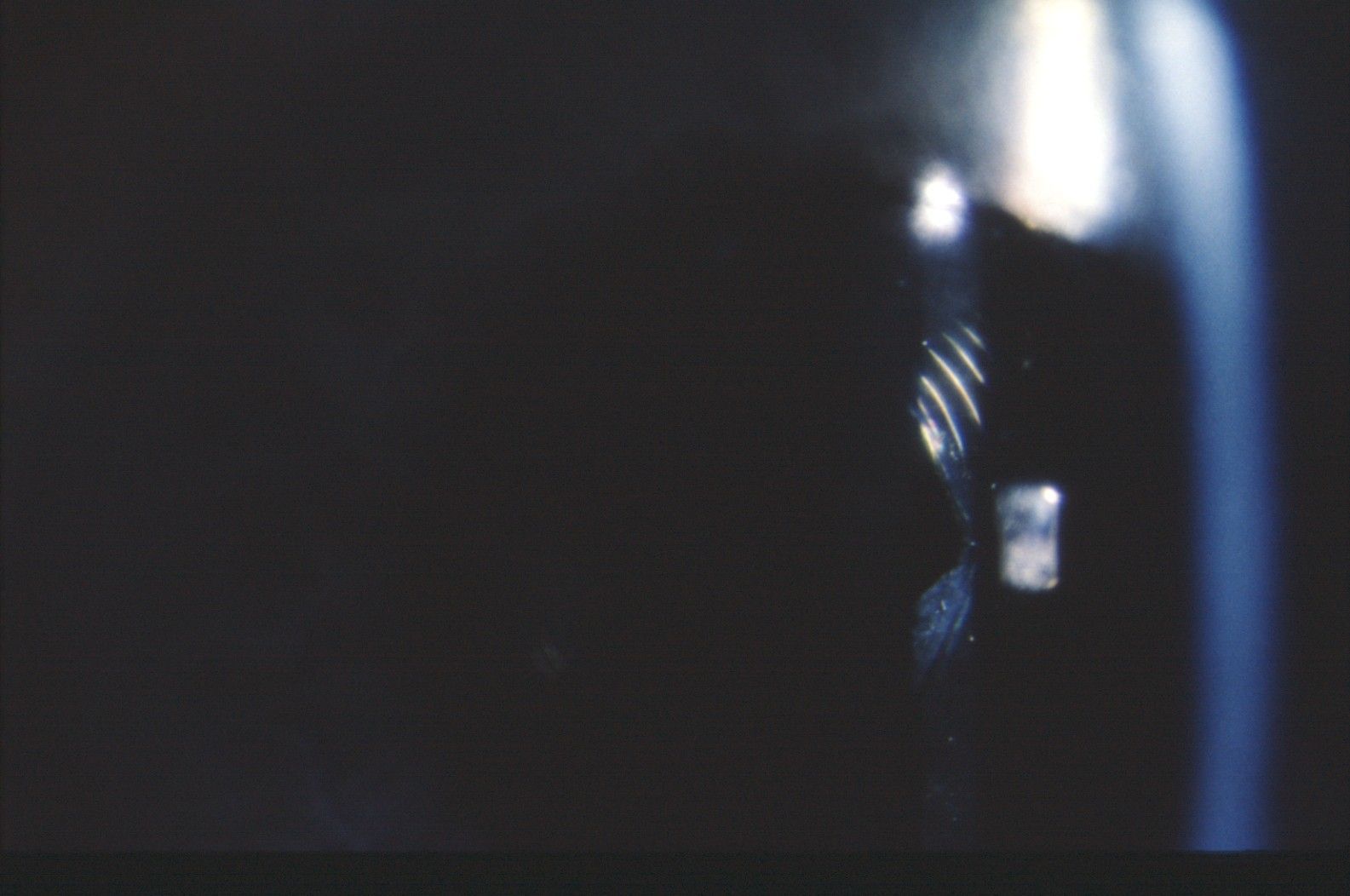 Dr. Karl D. Pötzsch-Bamberg