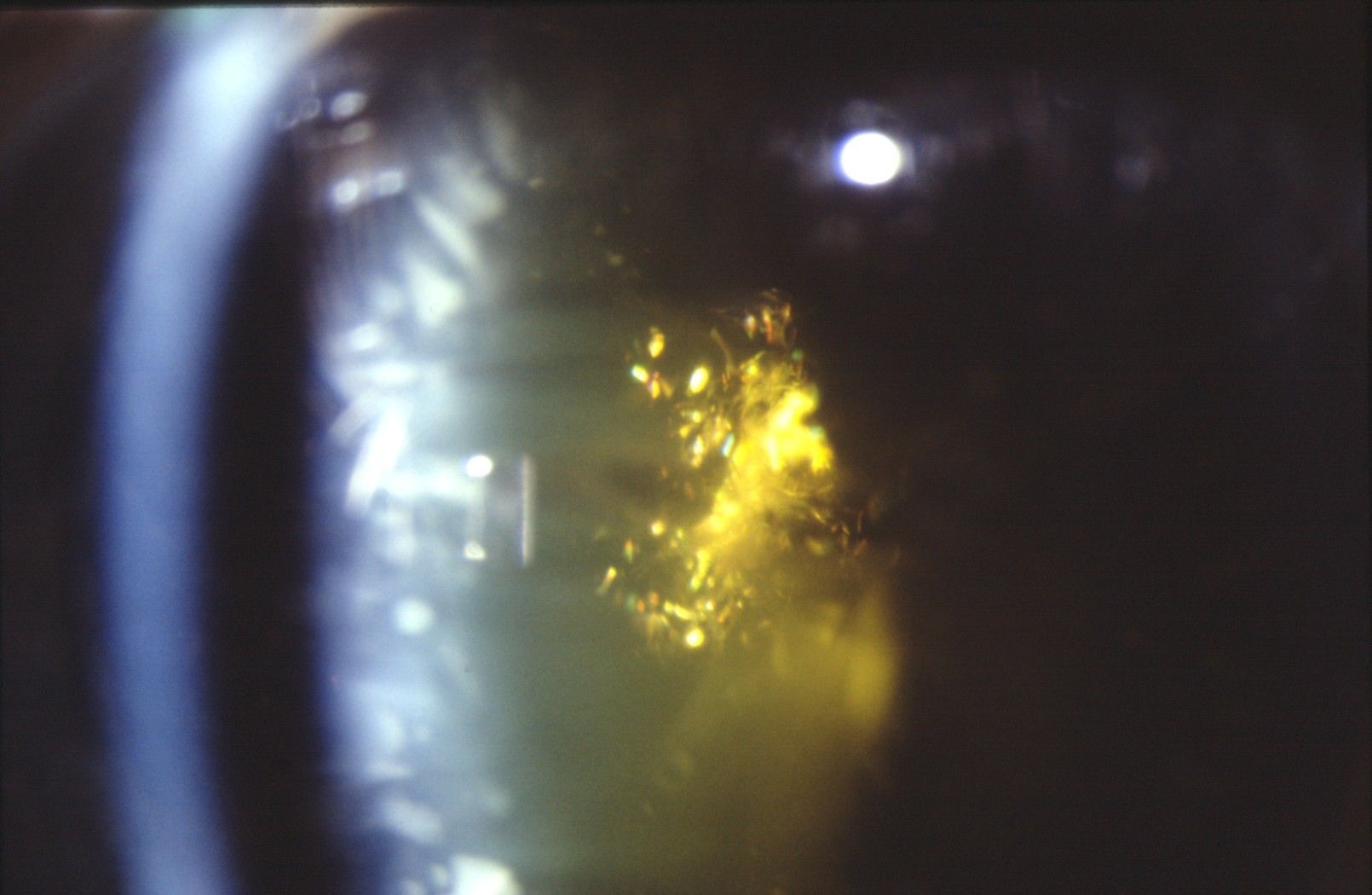 Dr. Karl D. Pötzsch-Bamberg