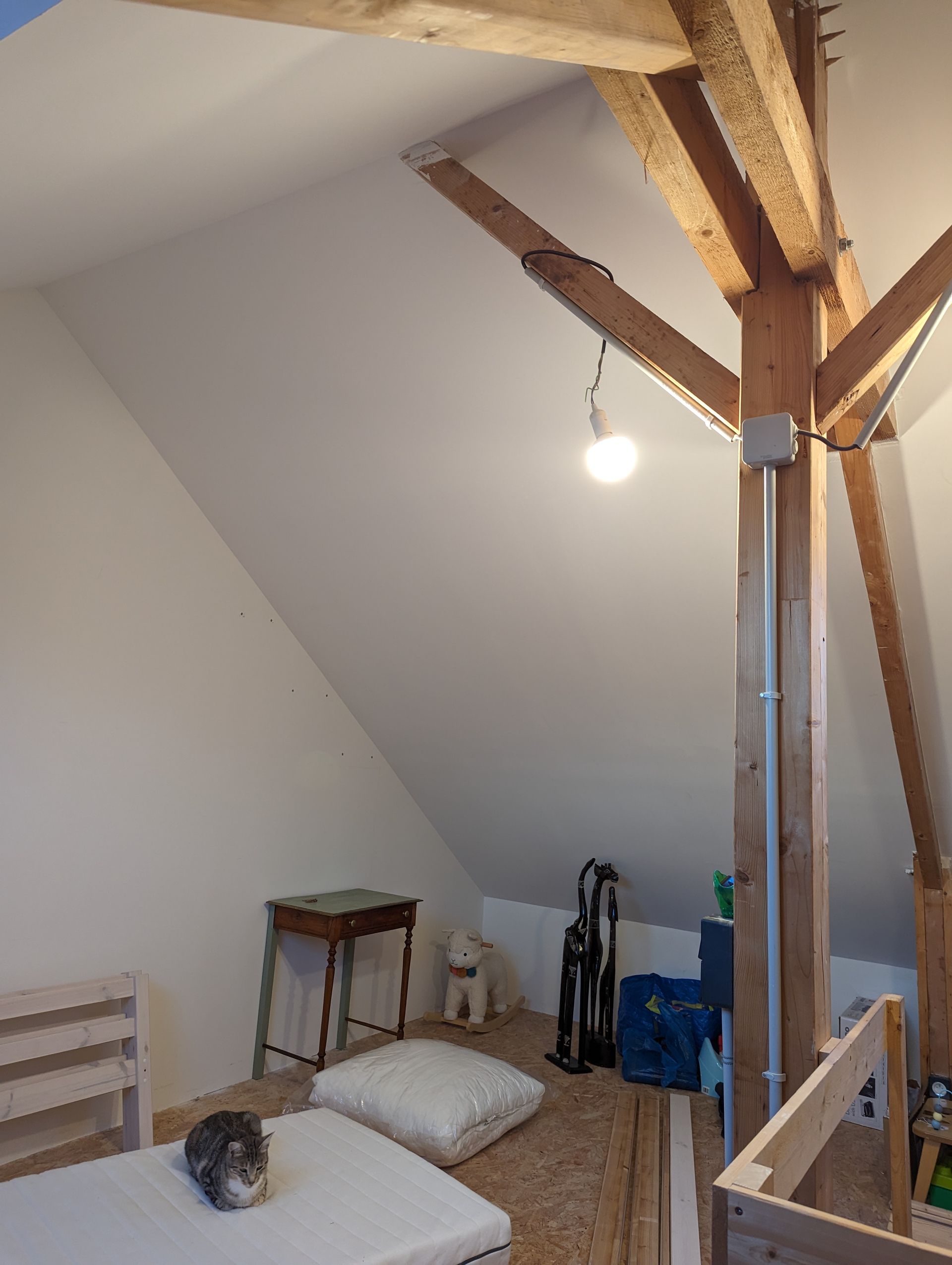 Un chat sur un matelas dans une pièce mansardée avec des poutres apparentes et une ampoule.