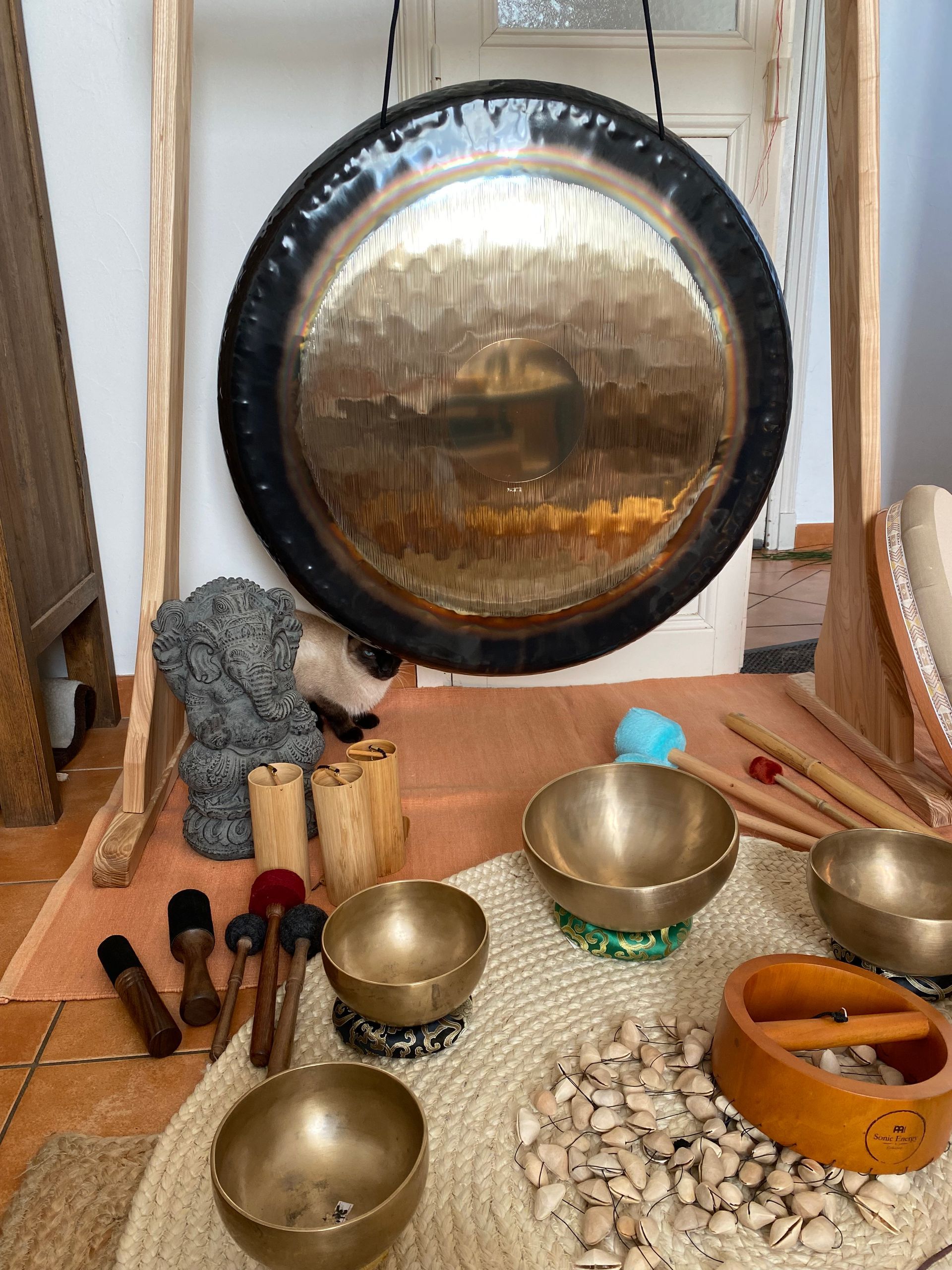 Bols tibétains pour bain sonore