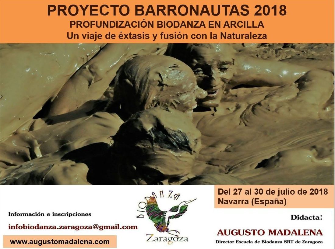 Proyecto Barronautas 2020