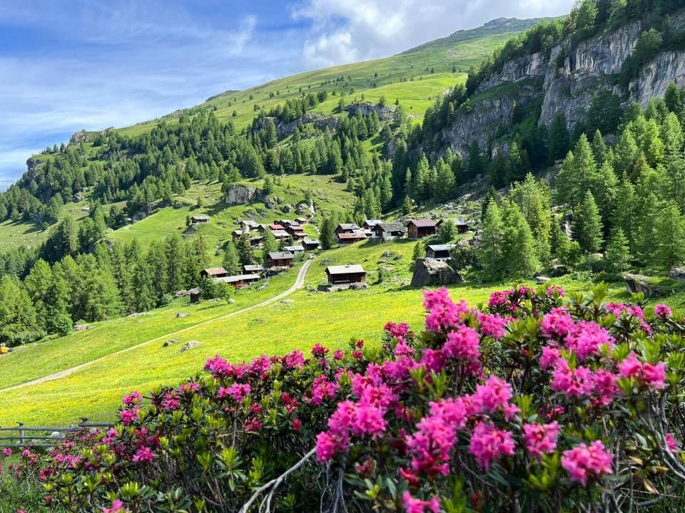 Üppig grünes Bergtal mit Dorf und rosa Blumen im Vordergrund, blauer Himmel.