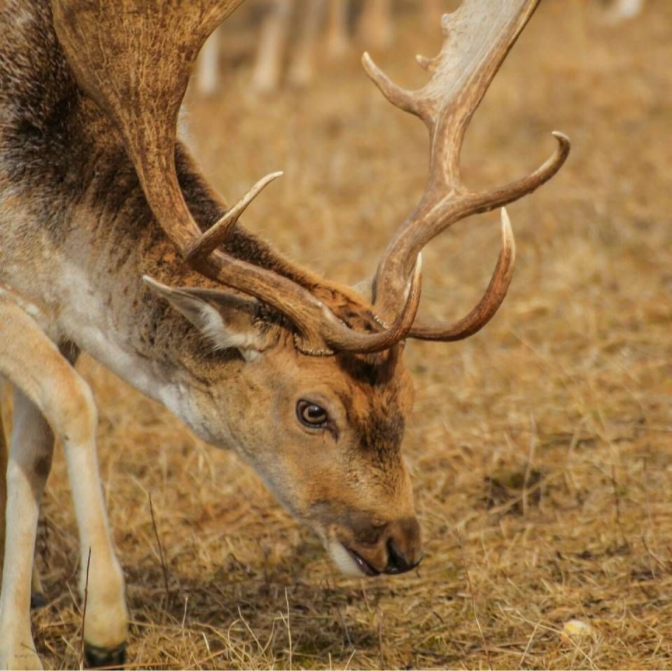 Grüner Hügel mit einem kleinen Wasserfall, Bäumen und einer Holzhütte unter blauem Himmel.