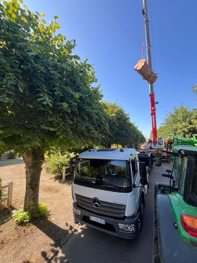 Une grue soulève une grosse bûche au-dessus d'un camion blanc et d'un tracteur vert par une journée ensoleillée.