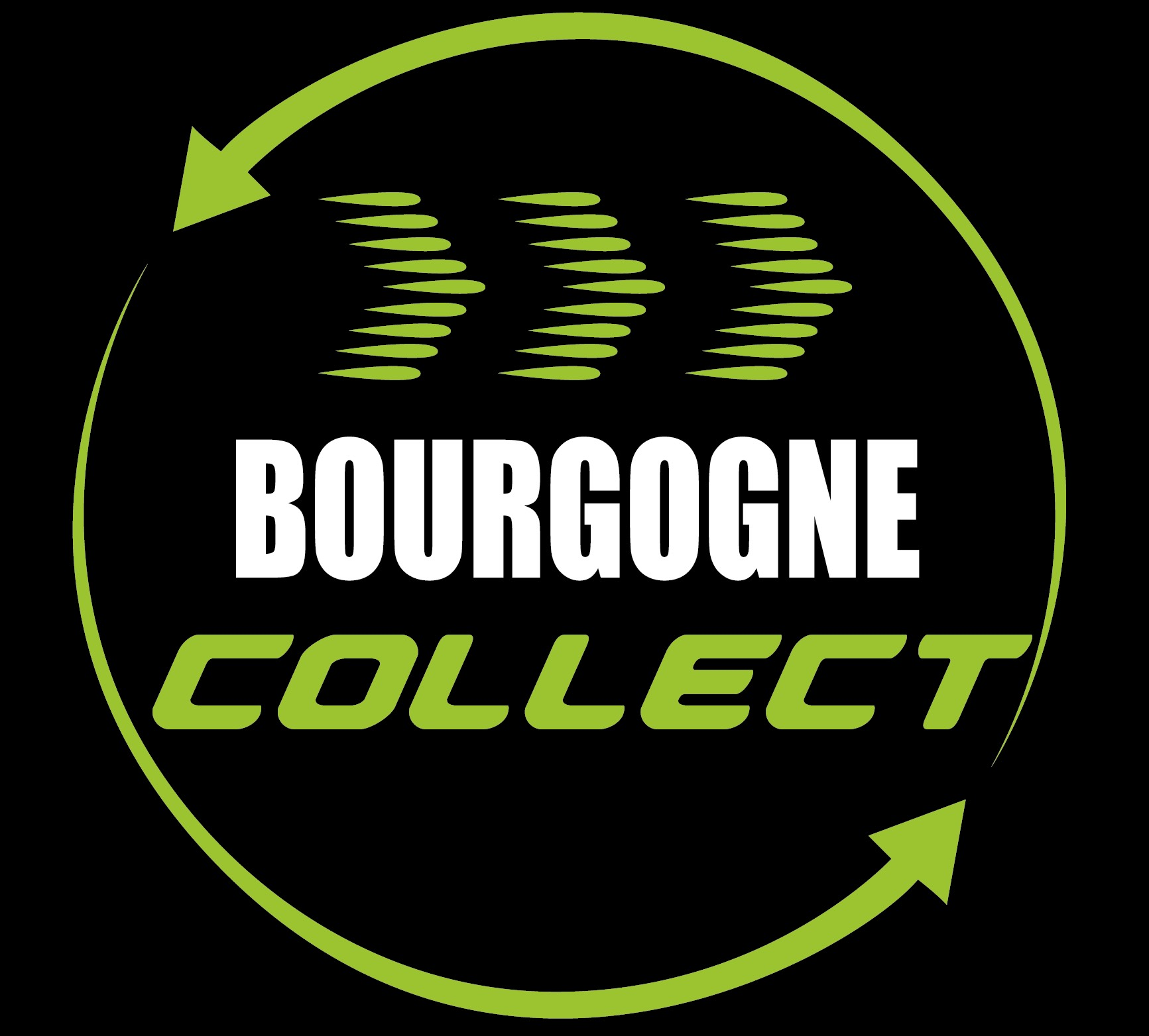 Logo de Bourgogne Collect avec flèches et symbole de recyclage. Fond noir, texte vert et blanc.