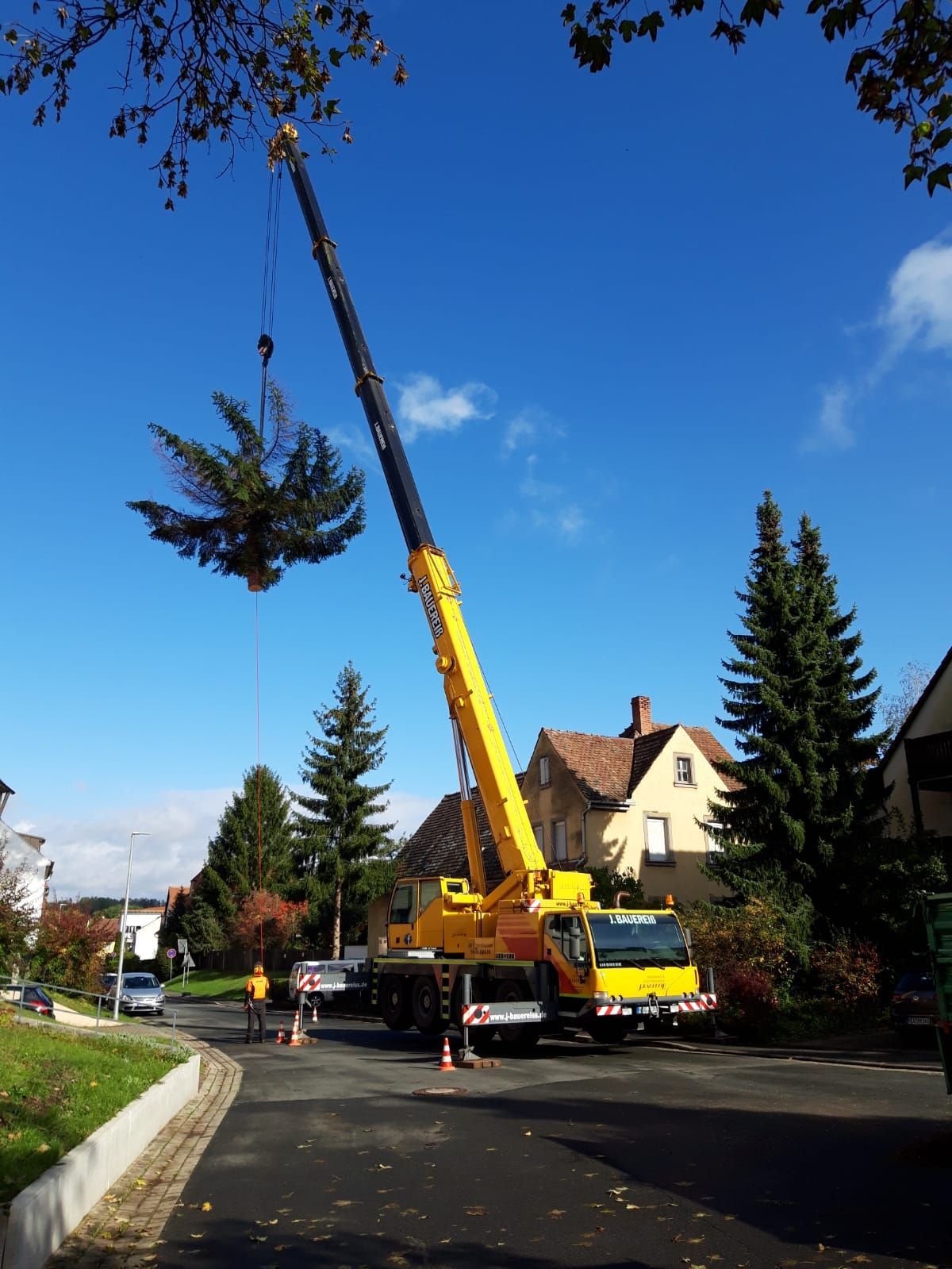 Ein gelber Kran hebt einen Baum in die Luft