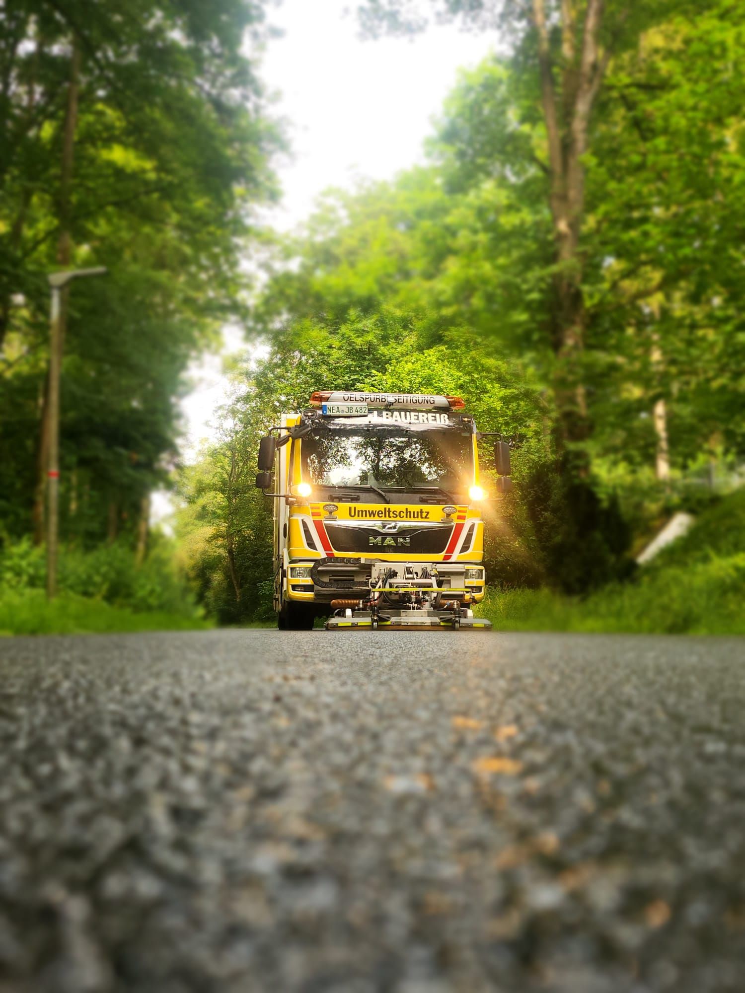 Ein gelber Lastwagen fährt eine von Bäumen gesäumte Straße entlang.