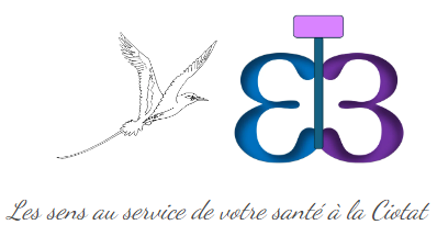 Logo d'Harmony Sens