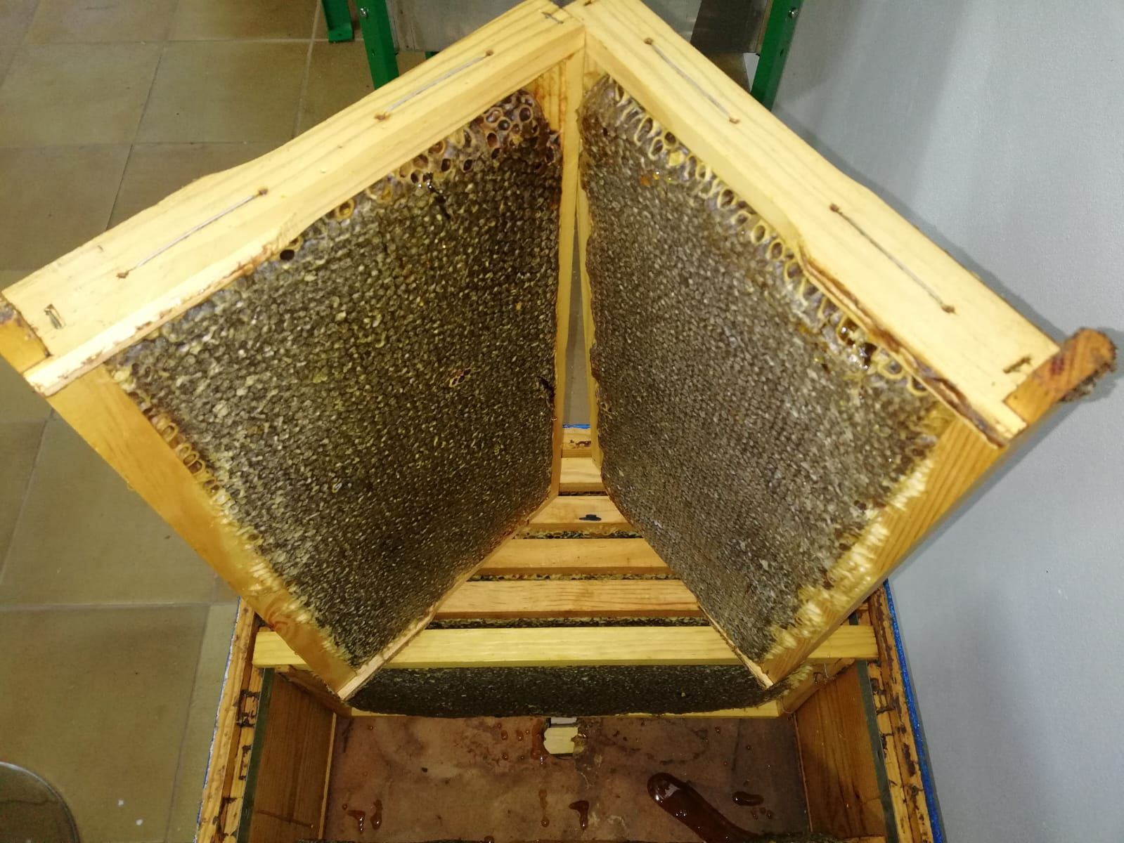 Se extraen de una colmena dos marcos de madera llenos de panales sellados.