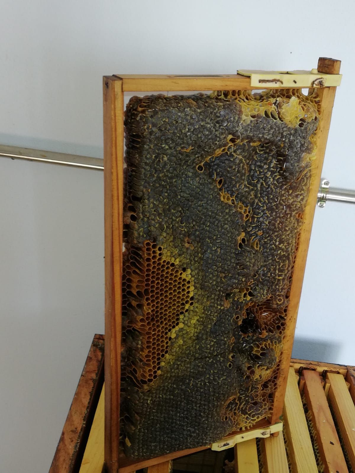 Un marco de madera lleno de panales, en su mayoría sellados con cera, que reposa sobre una pila de marcos de colmena.