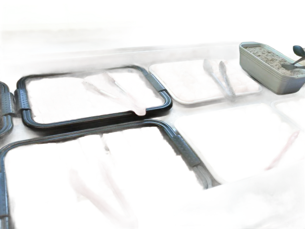 Des hors-d'œuvre au choix faits maison