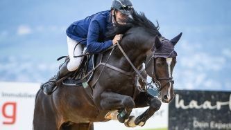 Turnierpferde - Elin Ott - Mettmenstetten