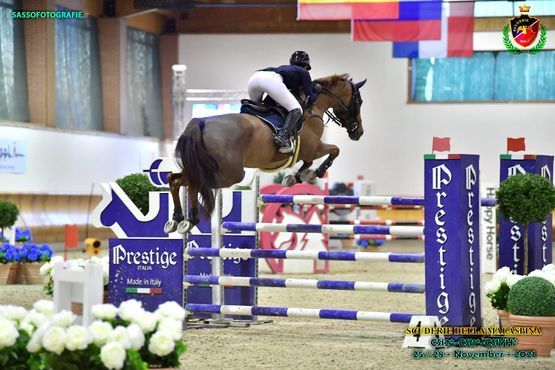 Reitstunde - Elin Ott - Mettmenstetten