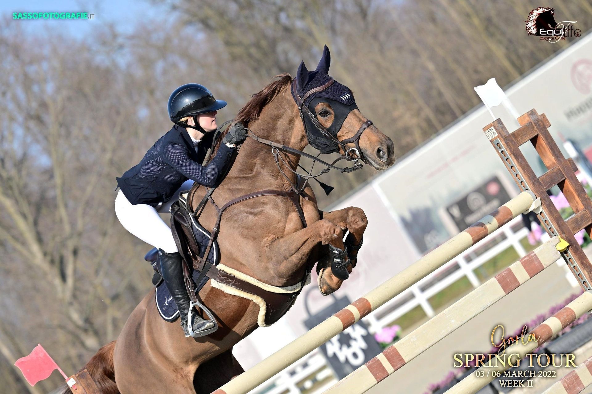 Reitstunde - Elin Ott - Mettmenstetten