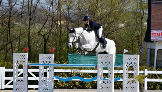 Berittpferde - Elin Ott - Mettmenstetten