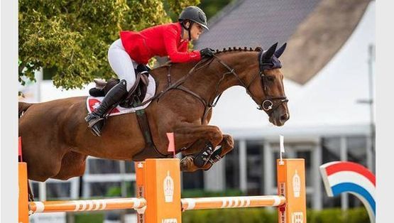 Berittpferde - Elin Ott - Mettmenstetten