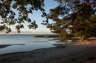 Ein Strand mit einem See im Hintergrund und Bäumen im Vordergrund.