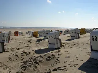 An einem Sandstrand stehen mehrere Strandstühle in einer Reihe.
