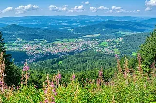 Ein Blick auf ein Tal von der Spitze eines Berges mit Blumen im Vordergrund.