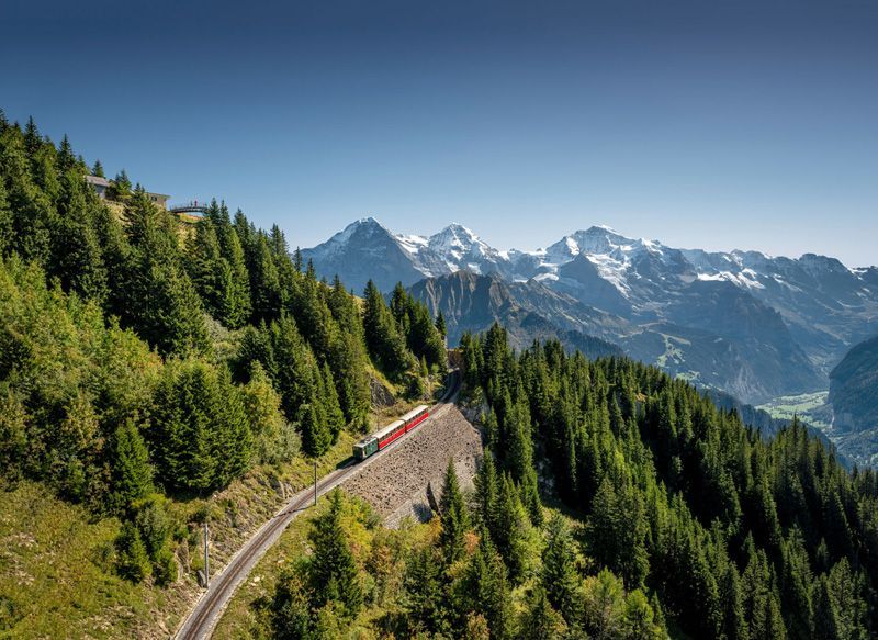 Der Zug fährt auf Gleisen durch einen grünen Wald, im Hintergrund ragen schneebedeckte Berge unter blauem Himmel empor.