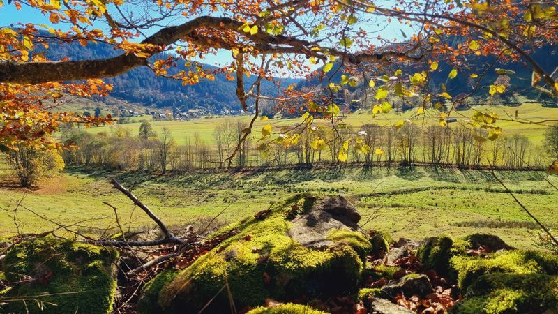 Herbstliche Talszene mit goldenem Laub, grünen Feldern und fernen Bergen.