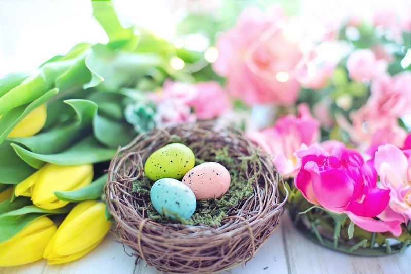 Nest mit gesprenkelten Eiern, gelben Tulpen und rosa Blüten auf einer weißen Holzoberfläche.
