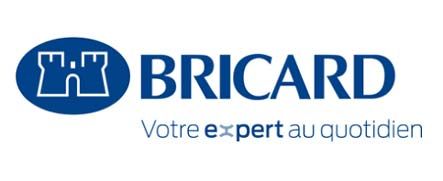 Logo Bricard