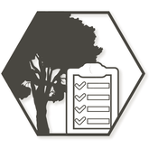 ARBOR VITA Baumpflege | Einholung behördlicher Genehmigungen