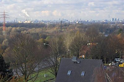 ARBOR VITA Baumpflege | Fachgerechte Entsorgung